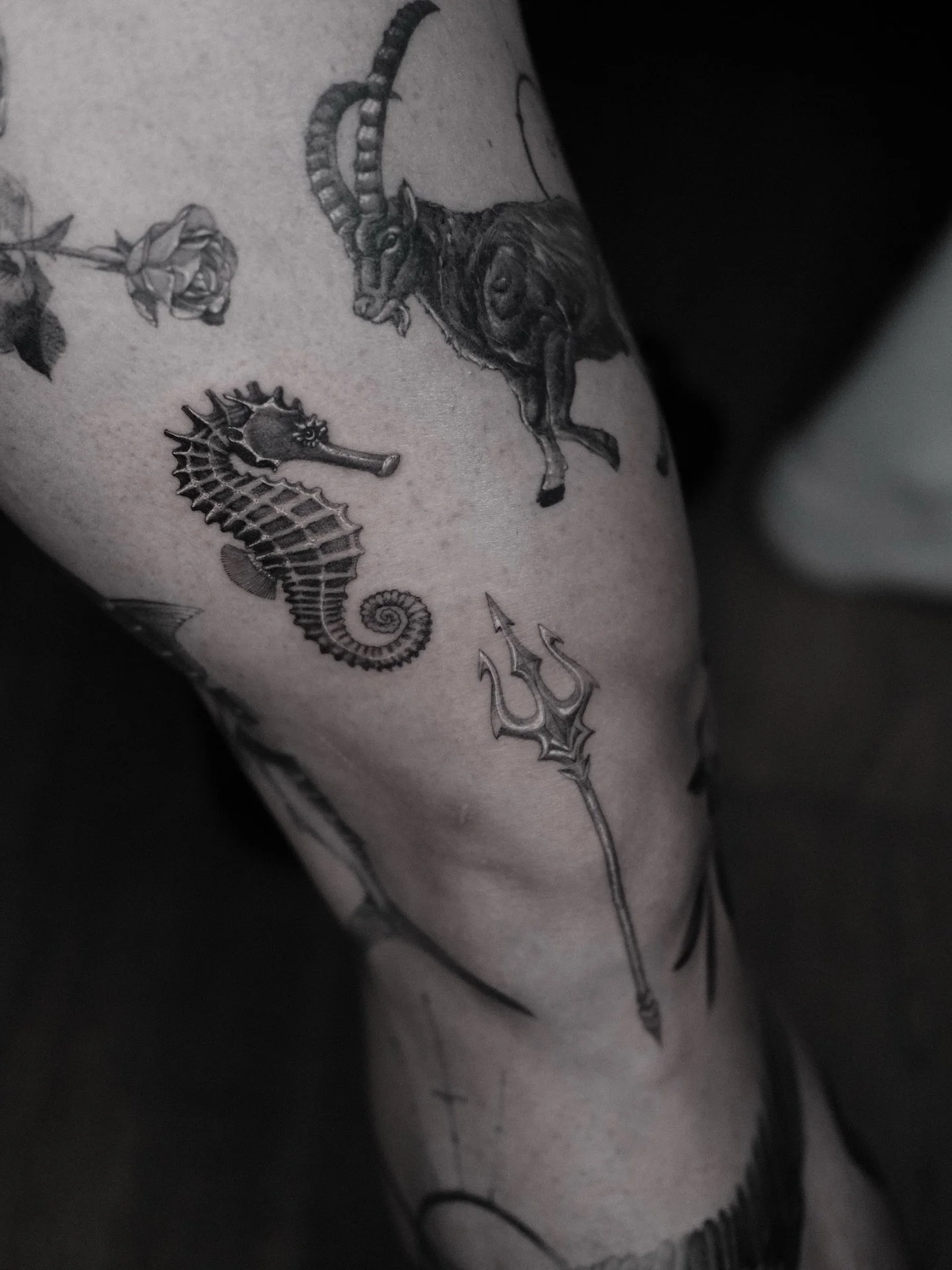 One session much TTT&lsquo;s 
Send me your request for multiple TTTs you want to have in a single session. You can find all the details on my website: www.danuvue.com
.
Thank you as always brother &hearts;️