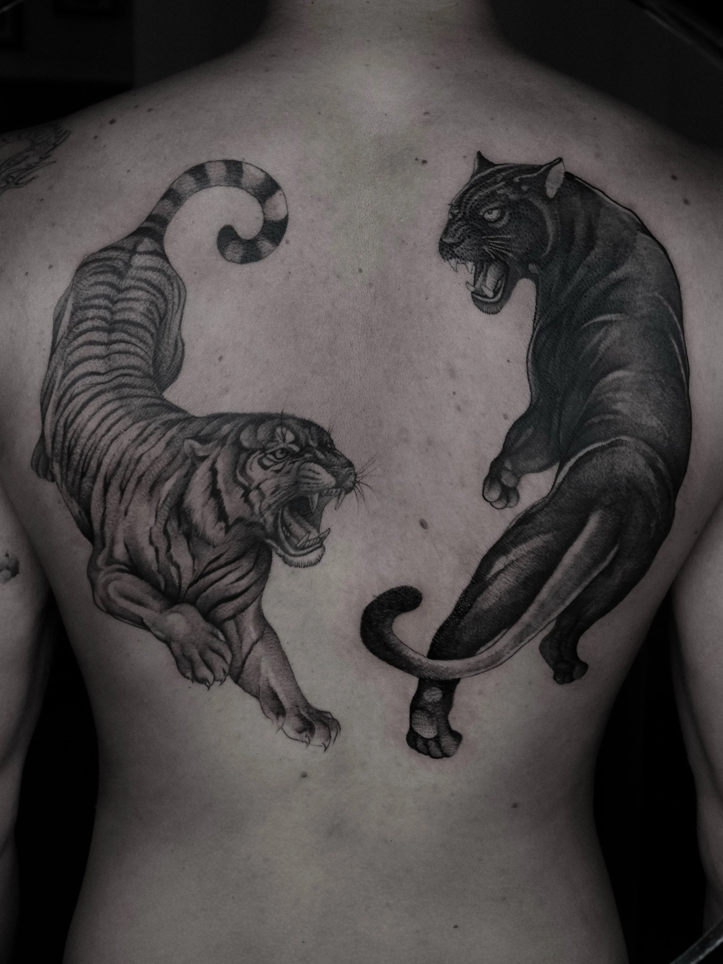 Summer backpiece.. in progress. 
Feel free and send me your request. 
www.danuvue.com
.
#tattoo #backpack #tiger #cat