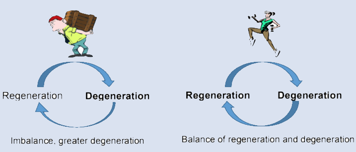 What is Osteoarthritis ?