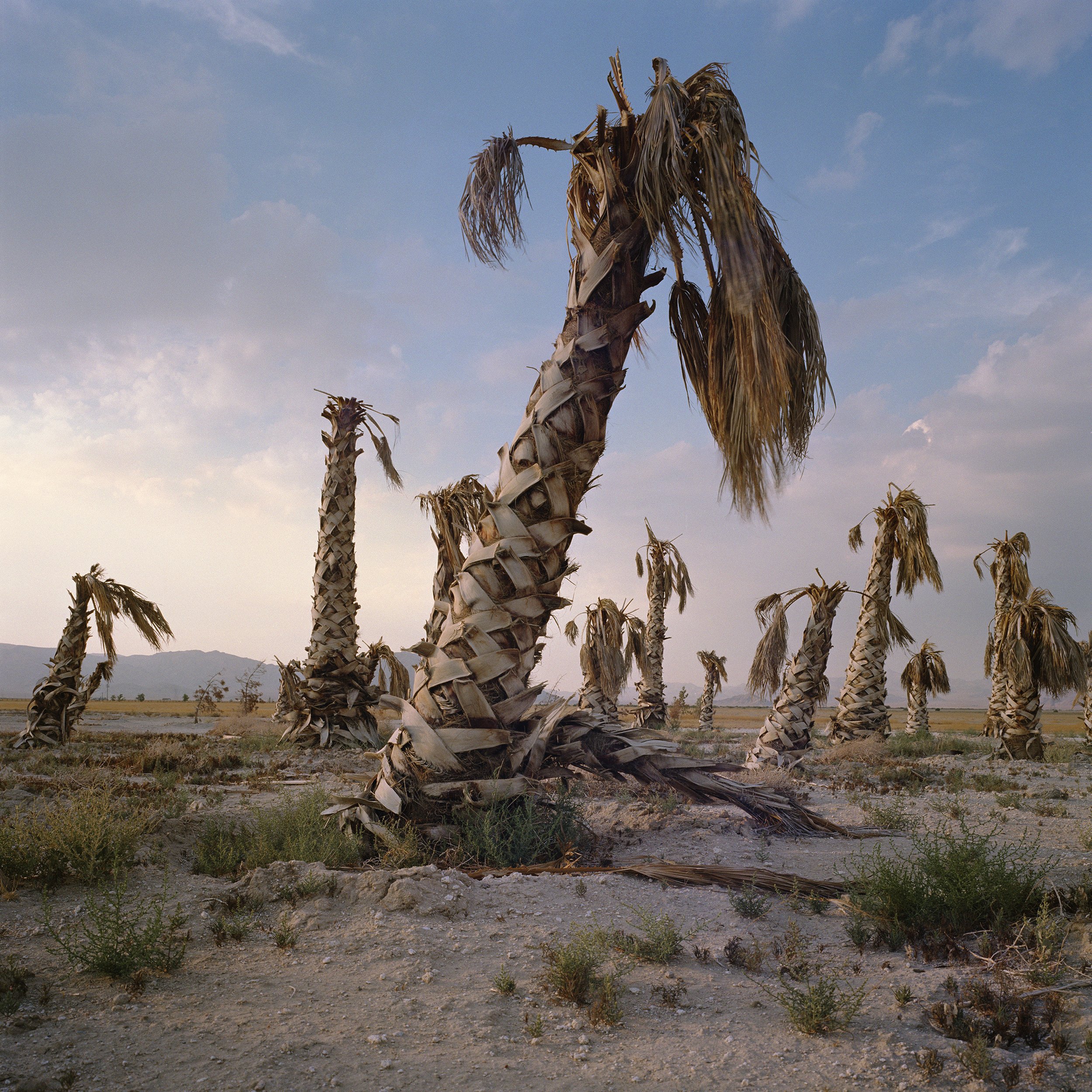  Lucerne Valley, California 2003 