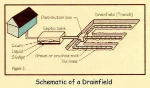 Schematic__drainfield-300x177.gif