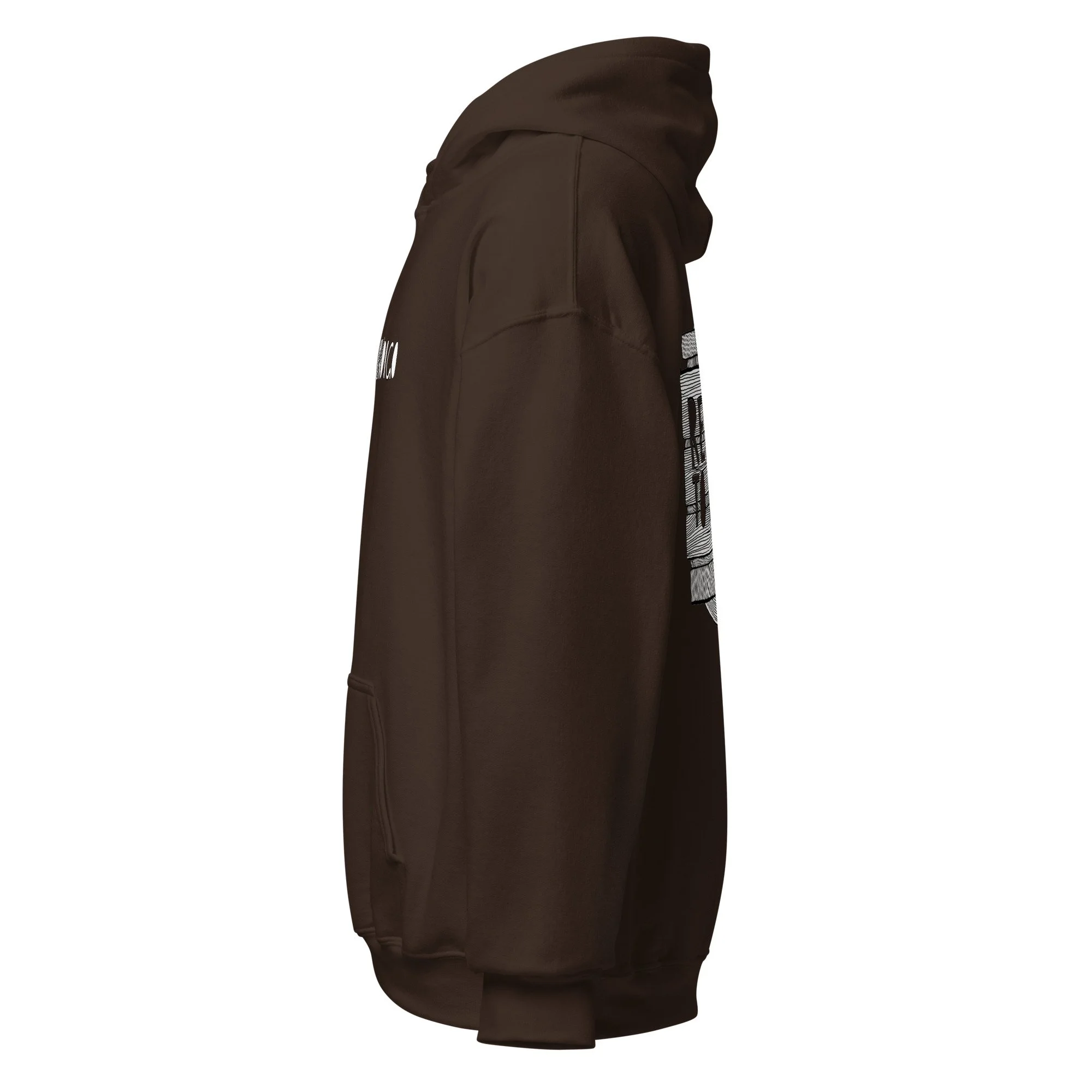 unisex-heavy-blend-hoodie-dark-chocolate-left-678403b482f2c.jpg
