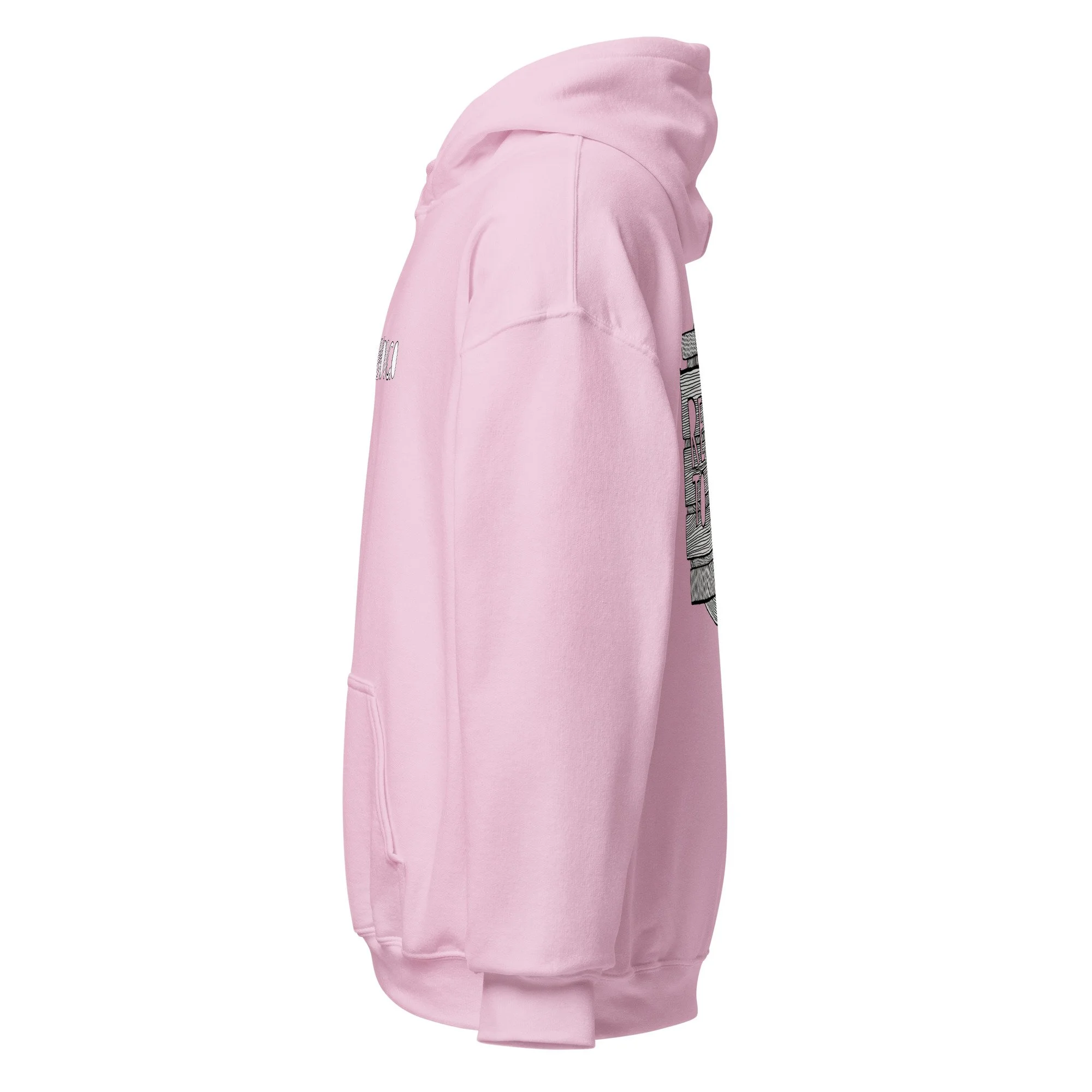 unisex-heavy-blend-hoodie-light-pink-left-678403b52ecea.jpg