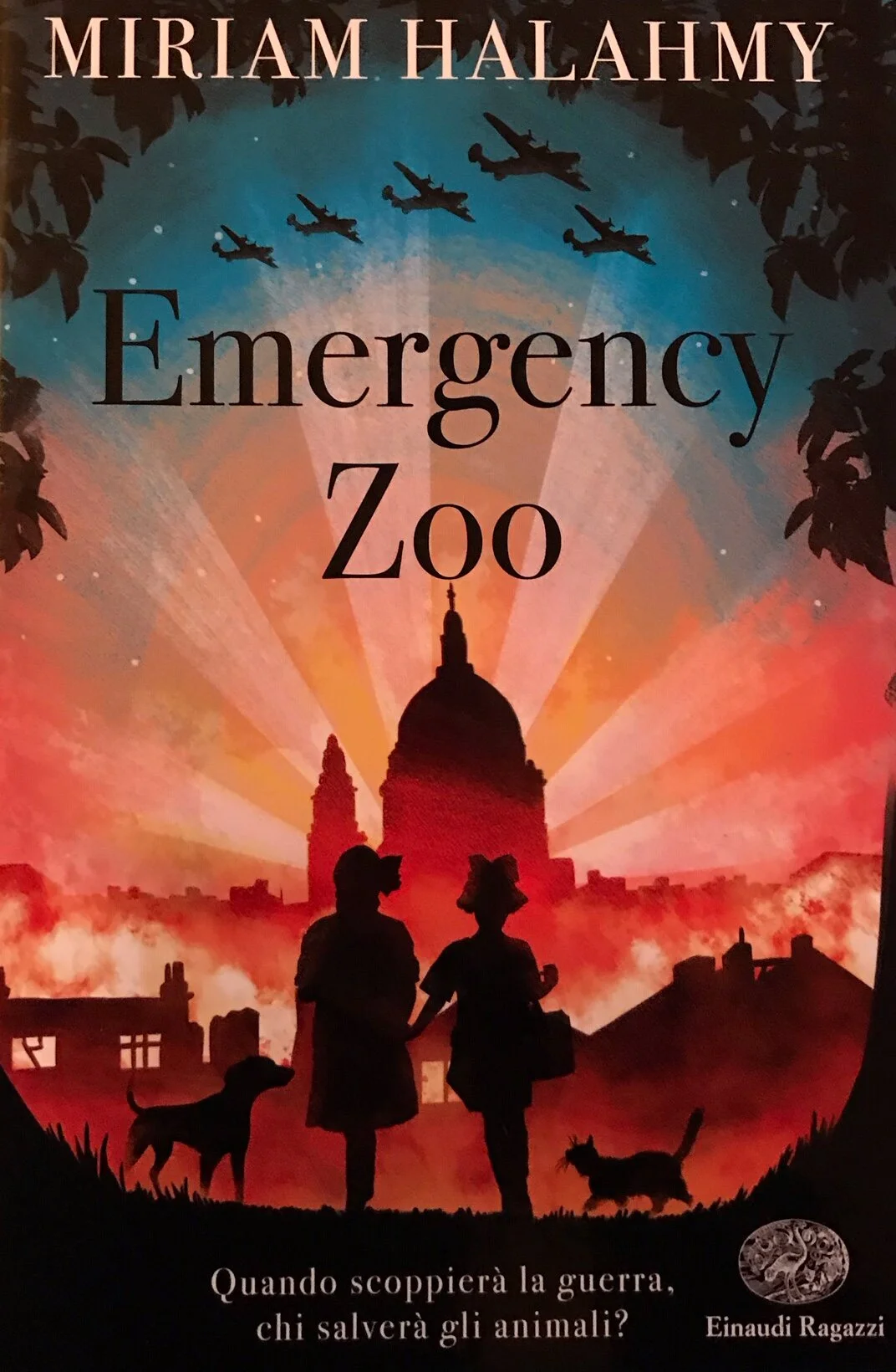 EMERGENCY ZOO / Miriam Halahmy 