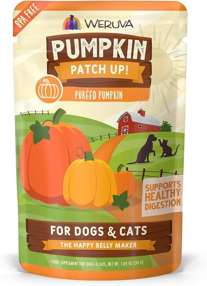 PumpkinPouch.jpg