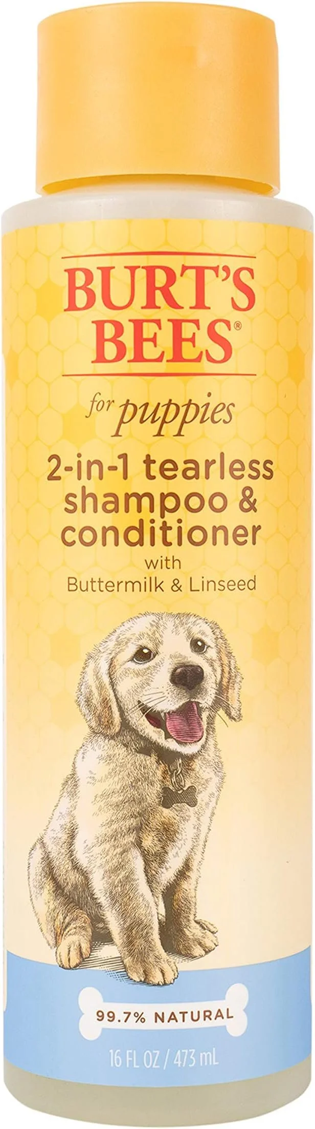 ShampooPuppyBB.jpg