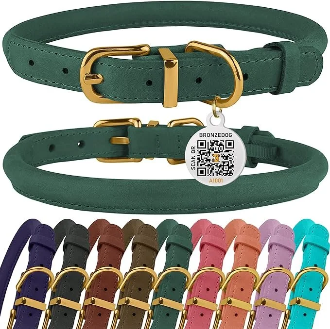 CollarPuppy2.jpg