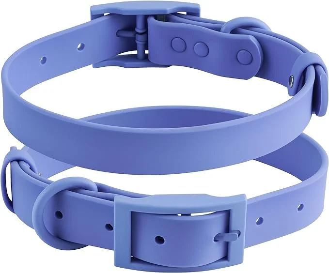 CollarPuppy3.jpg
