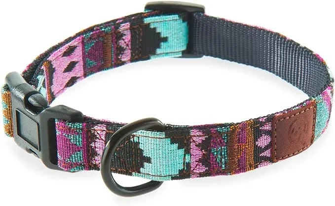 PuppyCollar4.jpg