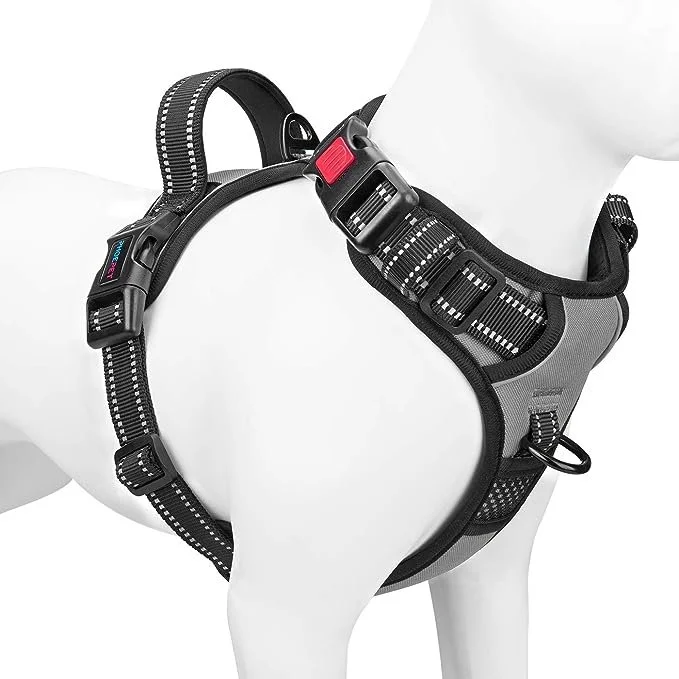 Harness.jpg
