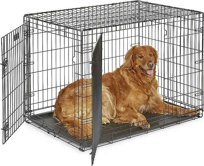 42" Wire with Divider