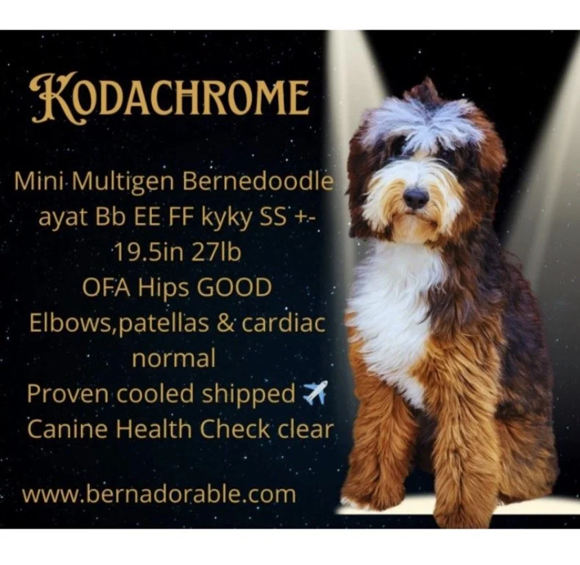 Kodachrome.PNG