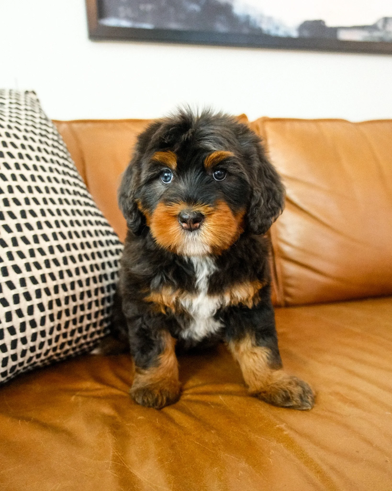 Cubby