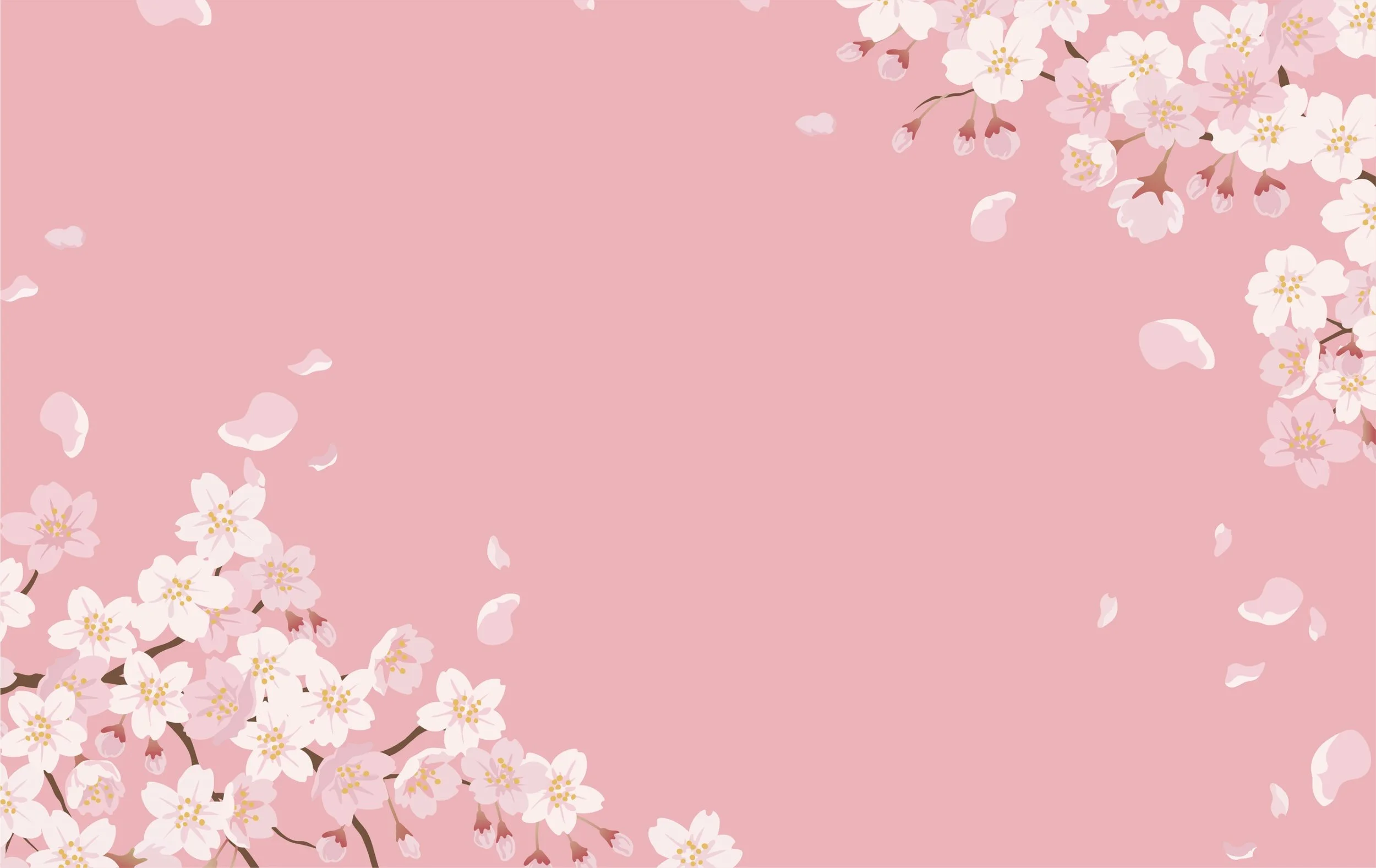 Cherry_Blossom_45_B.jpg