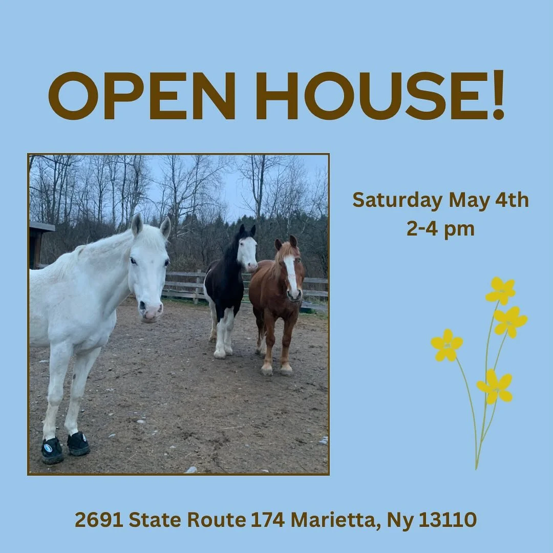 Come for a visit next Saturday and help us kick off the Ranch season! 🐴 🌱 ☀️