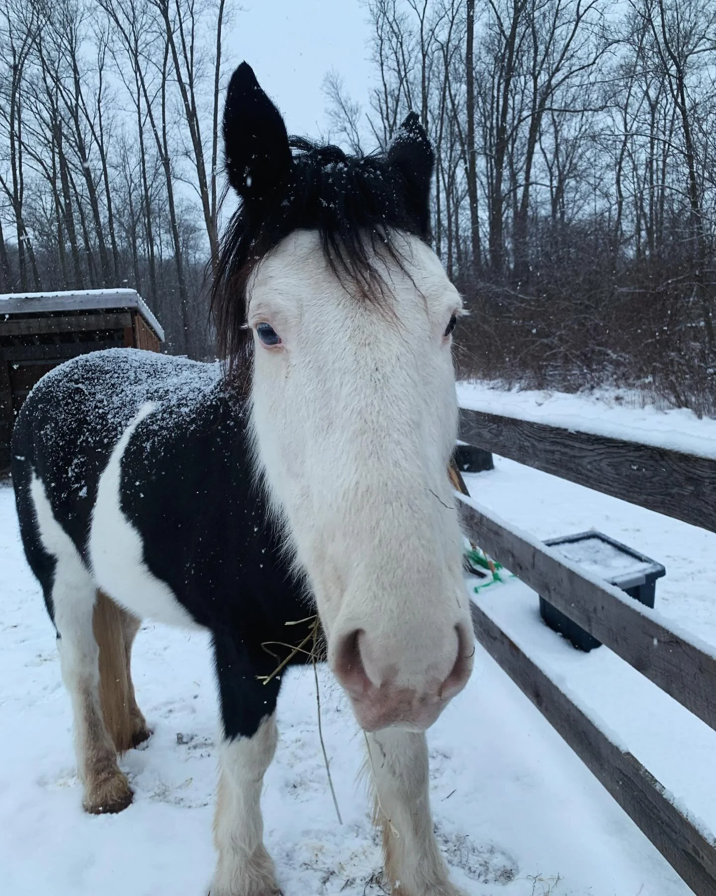 &rdquo;I pray that God, the source of hope, will fill you completely with joy and peace because you trust in him. Then you will overflow with confident hope through the power of the Holy Spirit.&ldquo; Romans‬ ‭15‬:‭13‬ ‭❄️