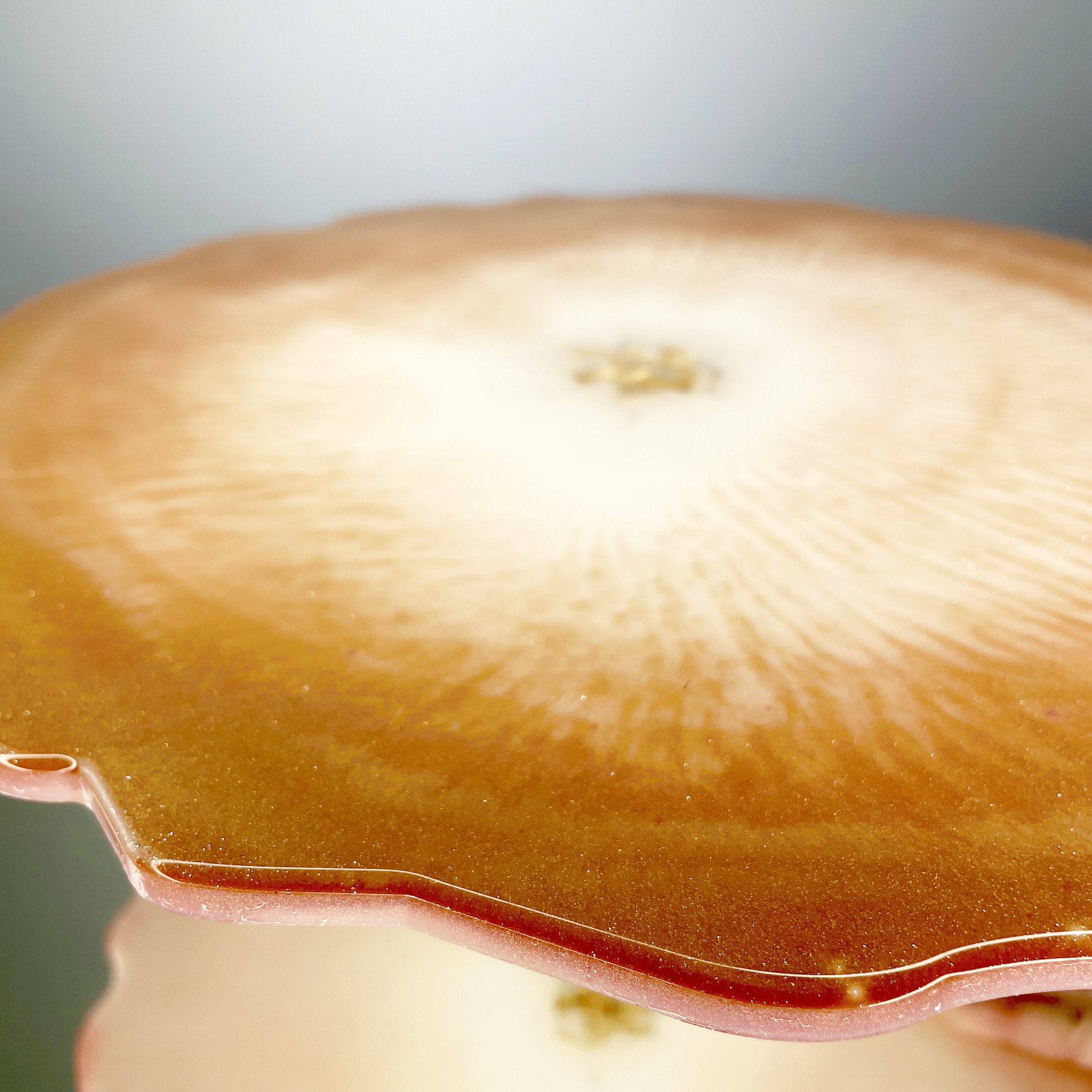 4791947D-9D79-4FAF-9955-AF6D30BCC4CF.jpeg