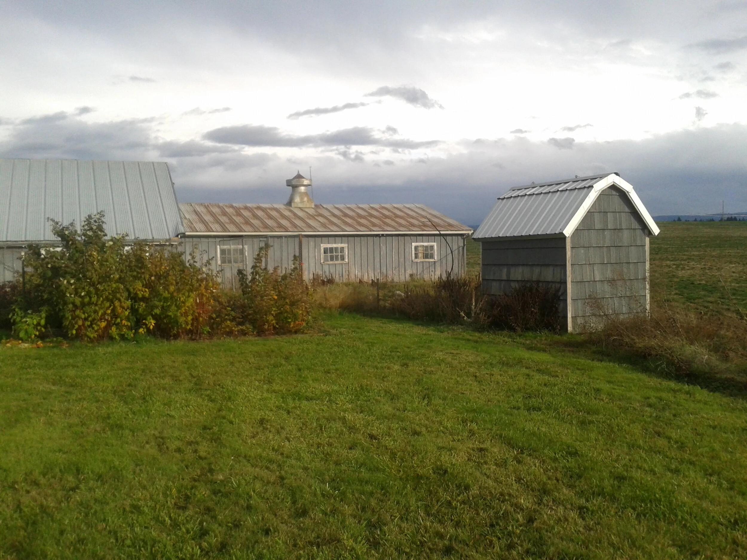 Three Generations of Farming