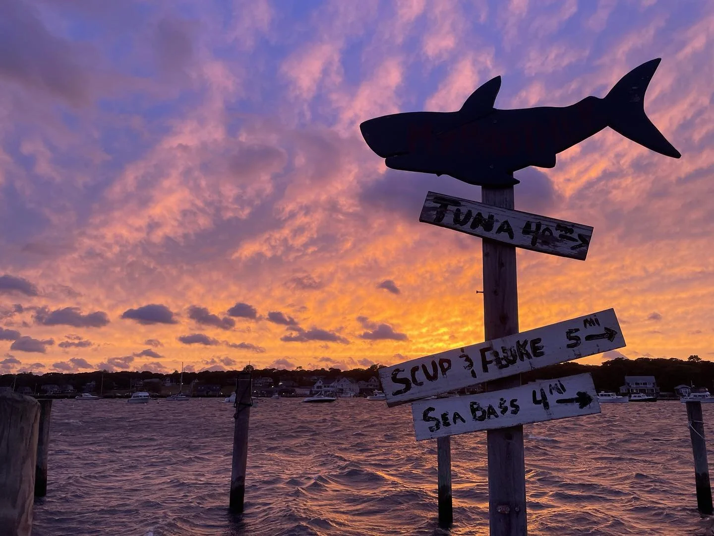 A magical island sunset last night - thanks Lee! #oakbluffs