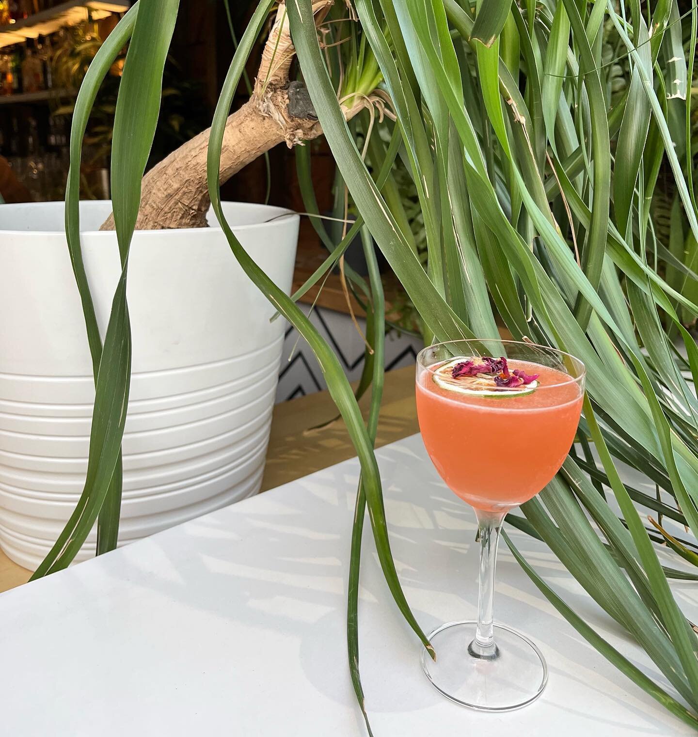 NEW FEATURE OF THE MONTH: The Desert Rose. 
Gin, Aperol, Lime, Rose and Hibiscus are shaken for a bright floral daydream of a drink. A perfect pairing to that refreshing feeling of emerging from a bitter winter into a sunshine fueled spring.

#always