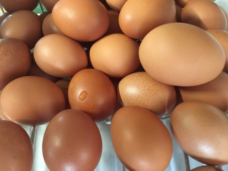 eggs-768x576.jpg