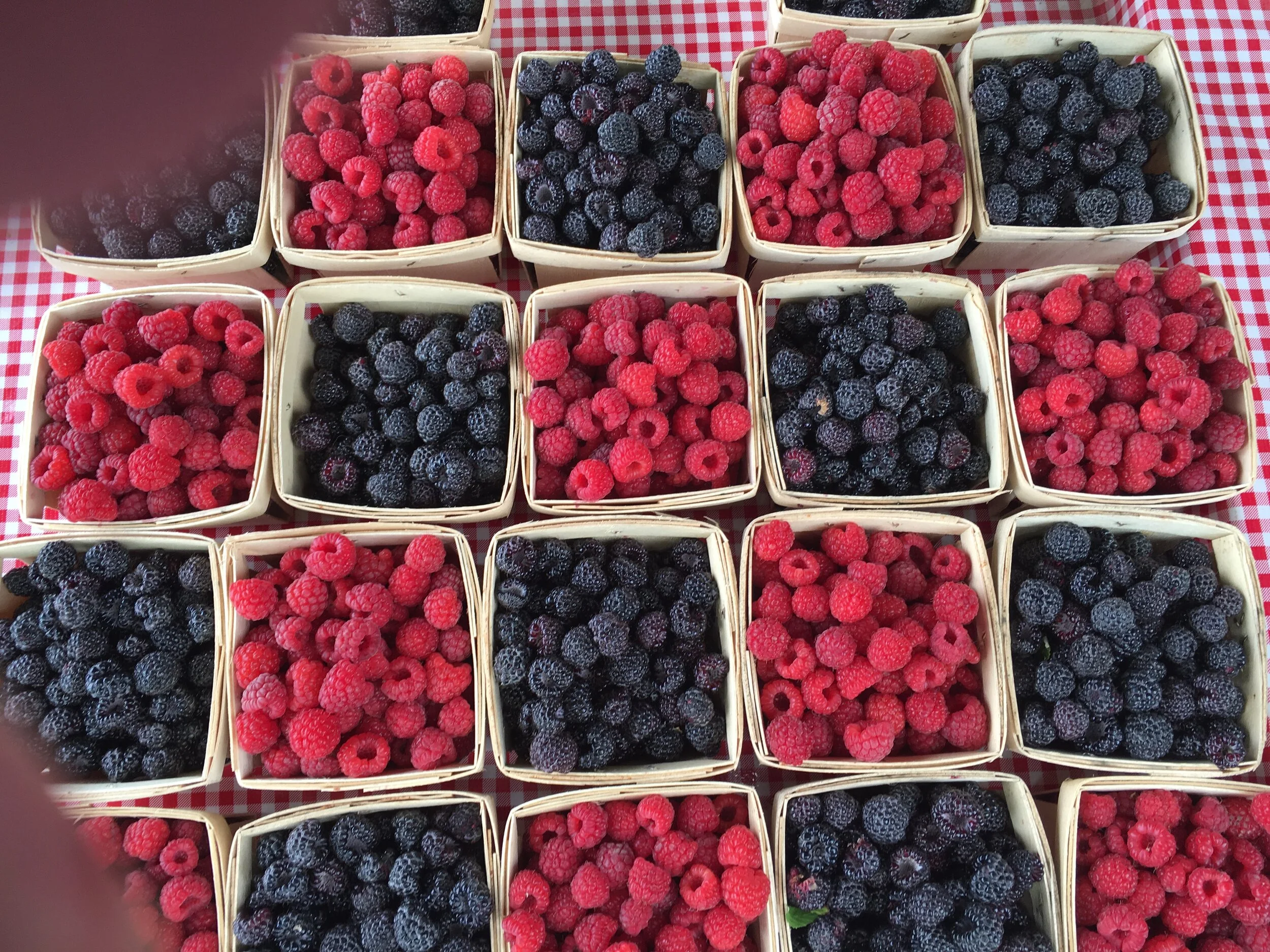 Kenneth  Wundrow  - CCB7495F-FDDB-4016-83B1-11DD2E71E8C6.jpeg