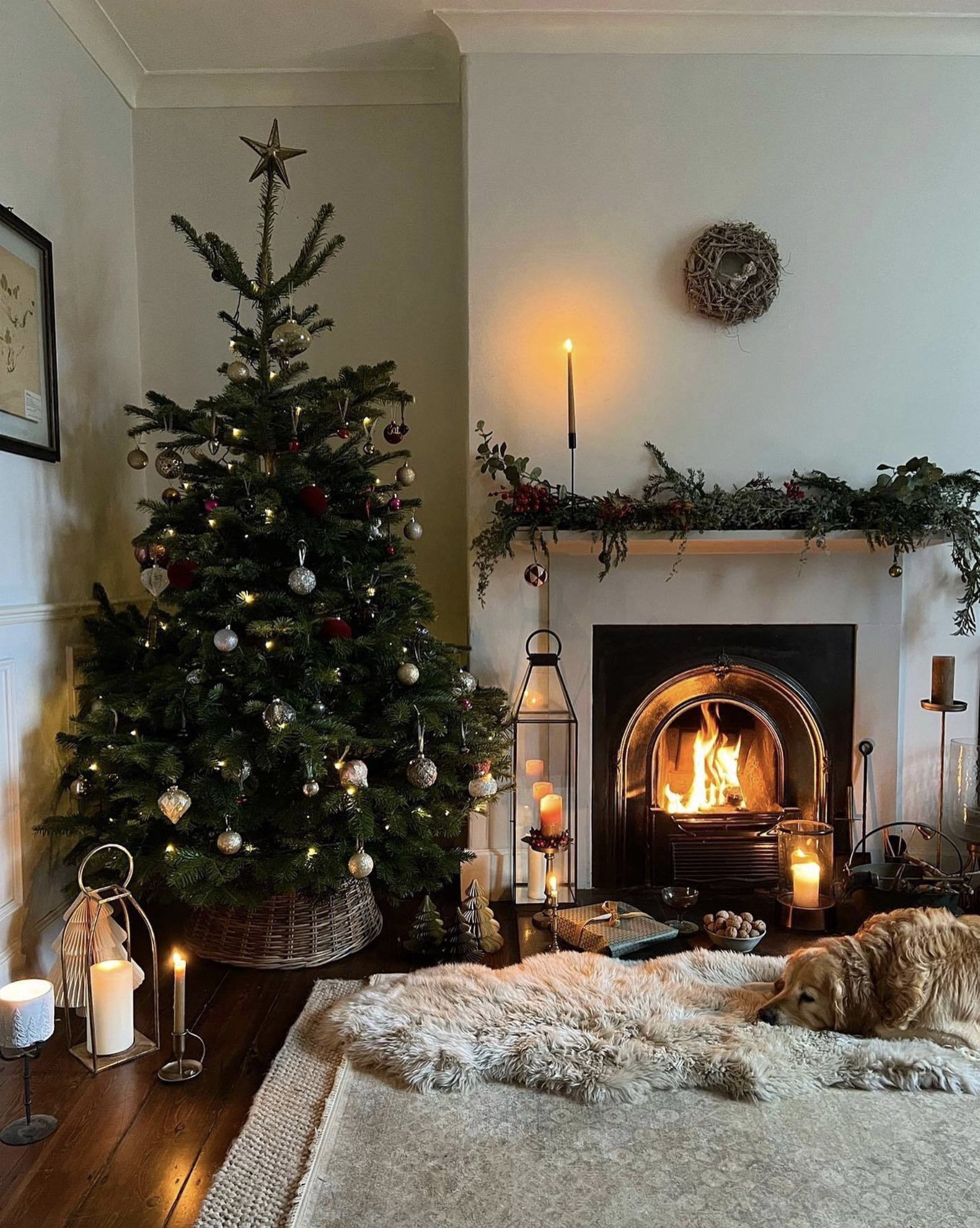 Tara's Holiday Favorites