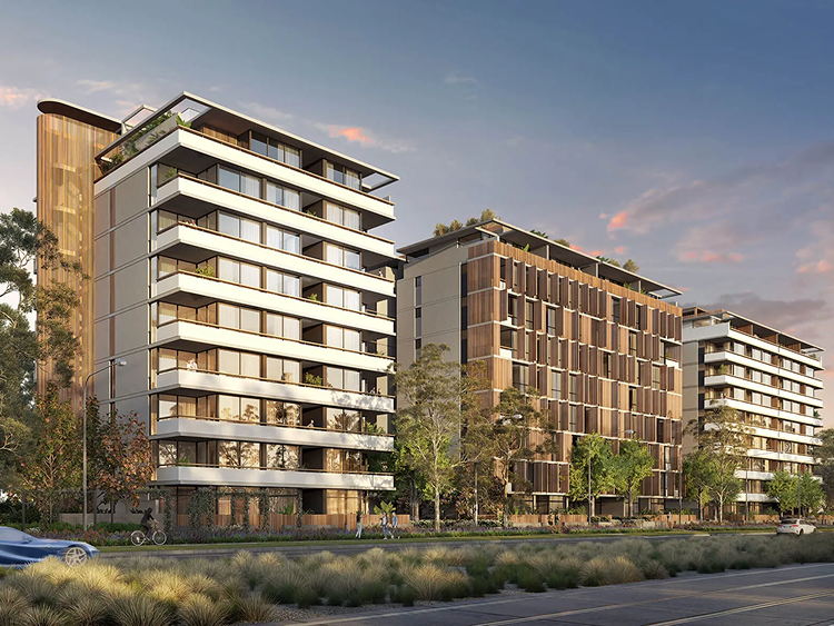 Calypso | 330 Northbourne Ave, Dickson, ACT