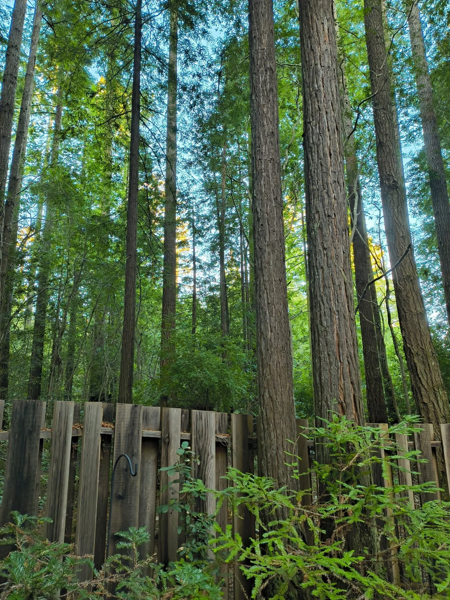 Best. Birthday. Ever. ✨3️⃣3️⃣✨

This trip was a big ole breathe of fresh ocean air💕

We wandered, we rested, we read, we moved our bodies, and we did whatever we wanted with big cheesy smiles on our faces the whole time.

I&rsquo;ll never forget thi