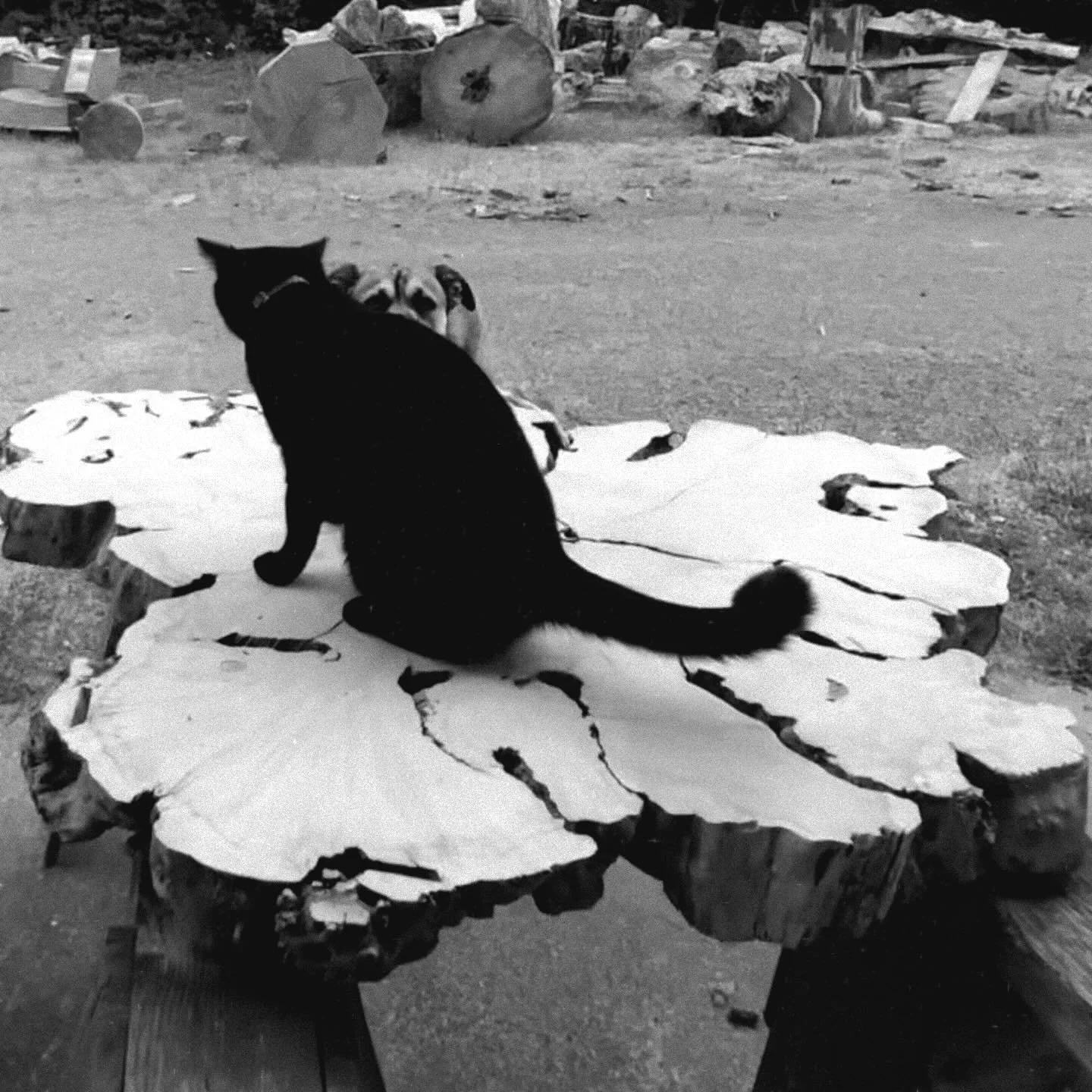 This is a wall piece. A stunner.