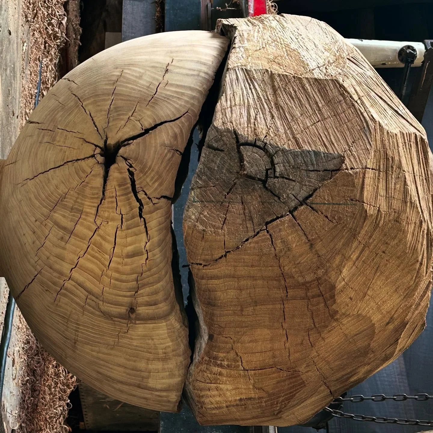 Halfway&hellip;.🌗 

#laurayeatsorb