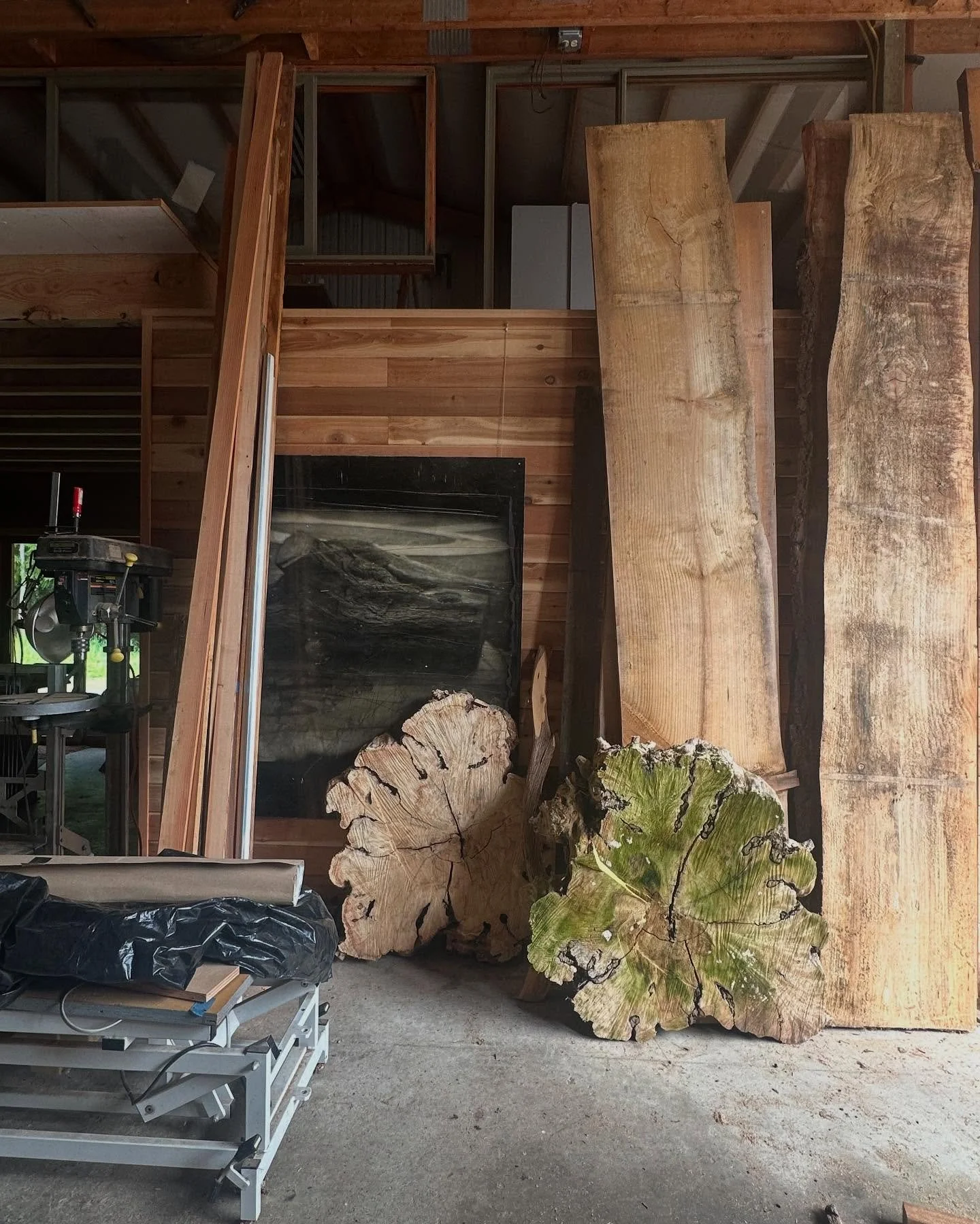 green 🍀 

I brought this Box Elder flare back with me from Santa Fe, and that&rsquo;s what we can call the &lsquo;northwest winter effect&rsquo;.