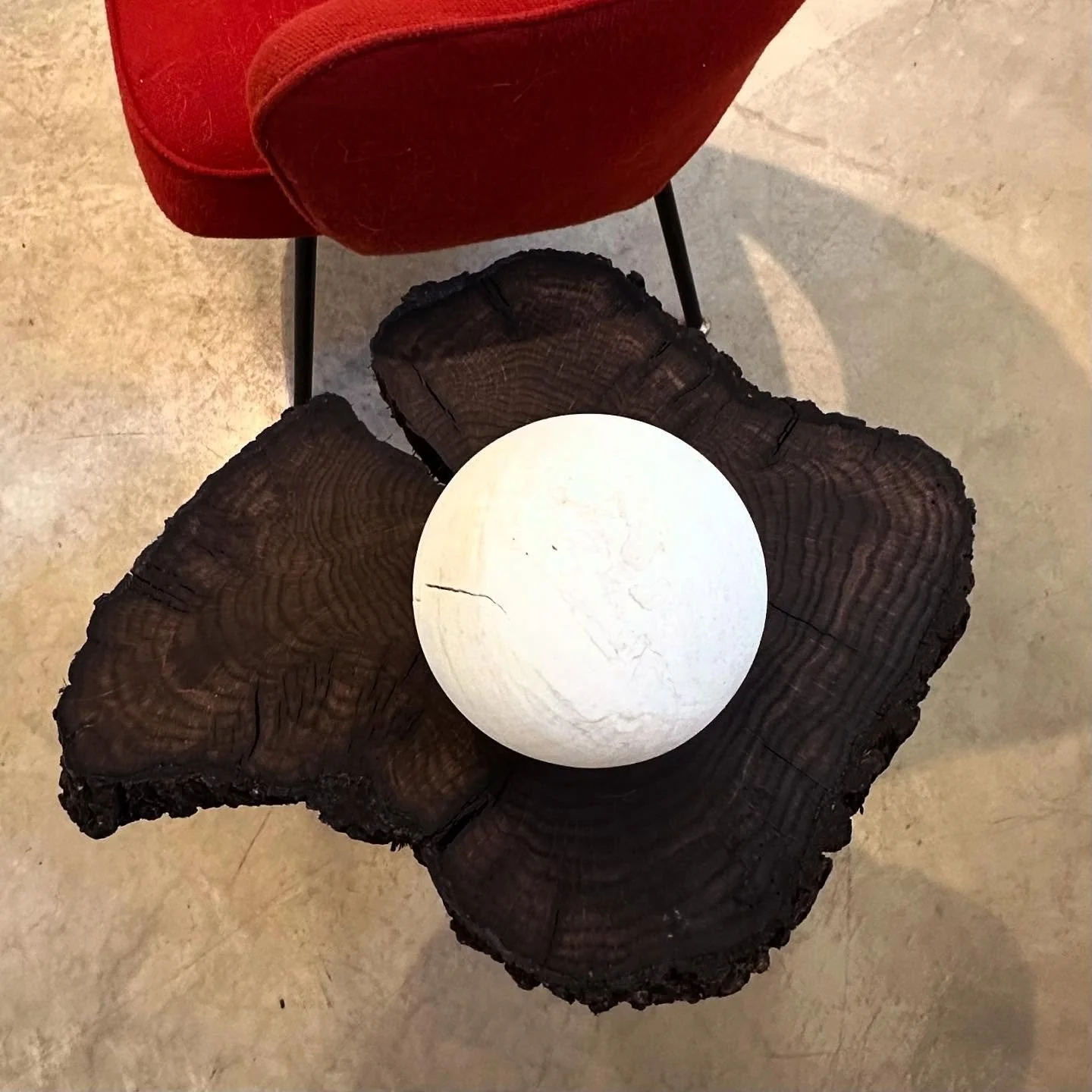 A couple orbs

bleached maple burl
#laurayeatsorb #lunar