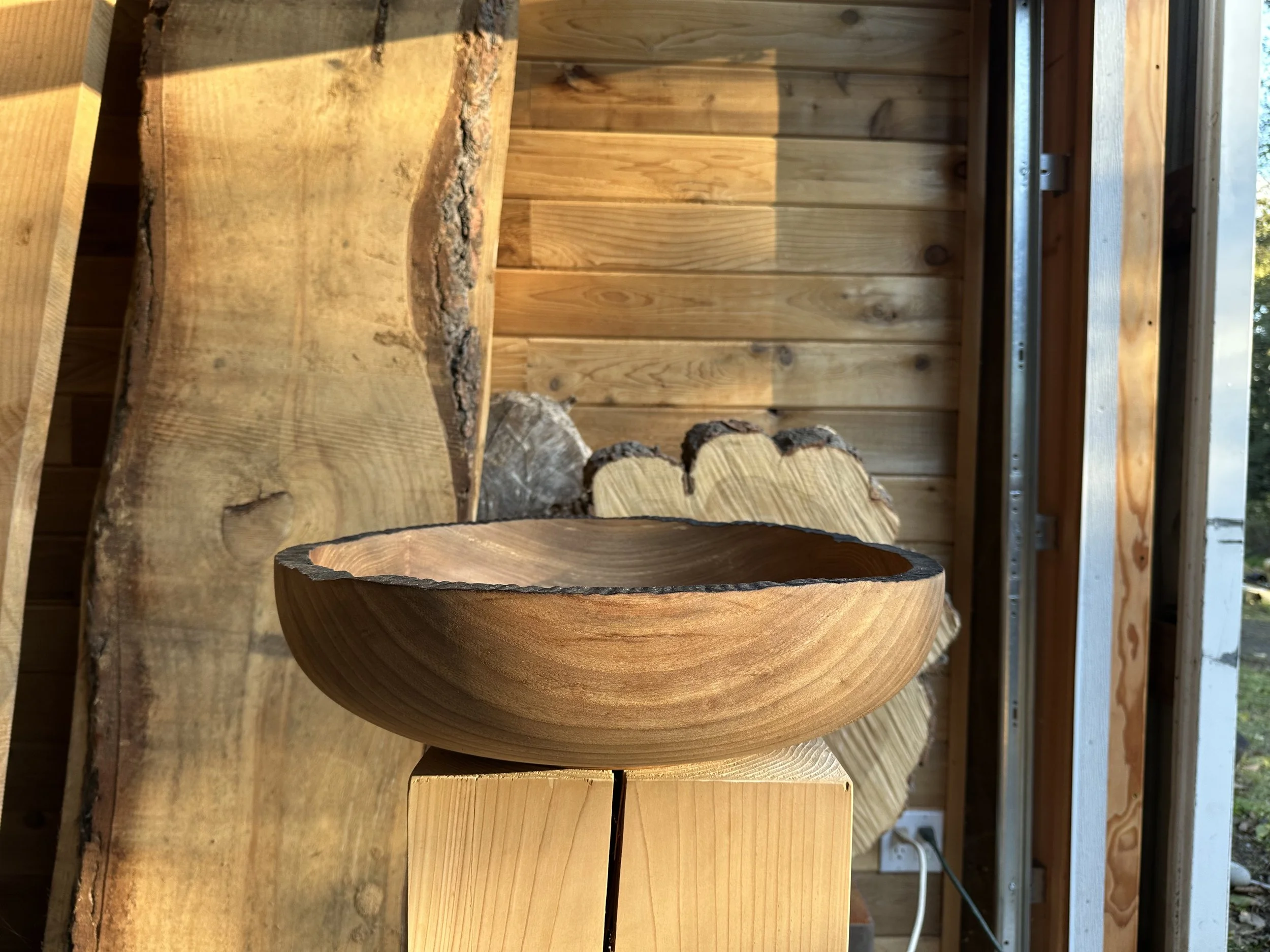 Orcas Island Elm - Epicurean