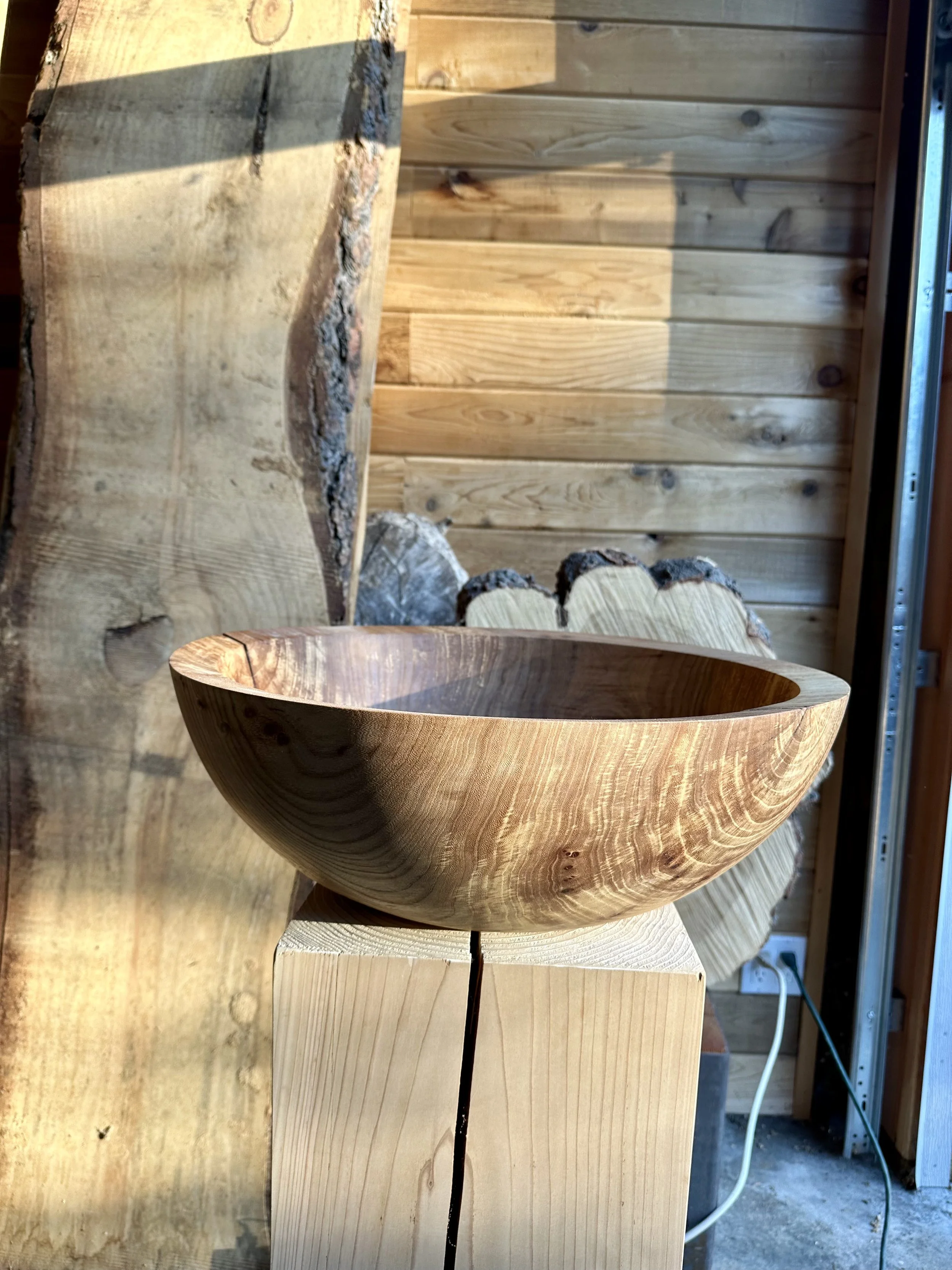 Orcas Island Elm - Epicurean