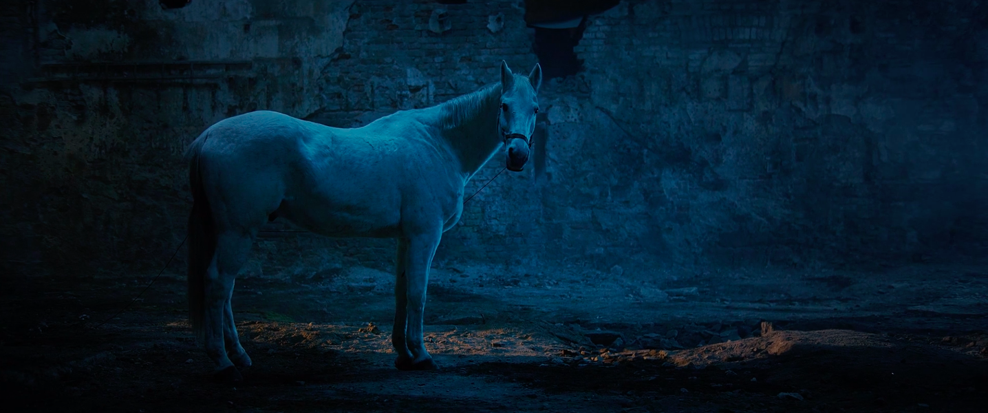 cavallo.png
