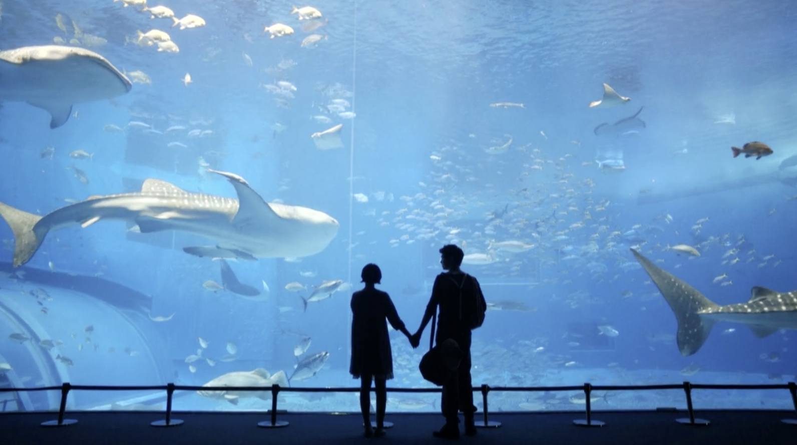 Curious, What Women Want