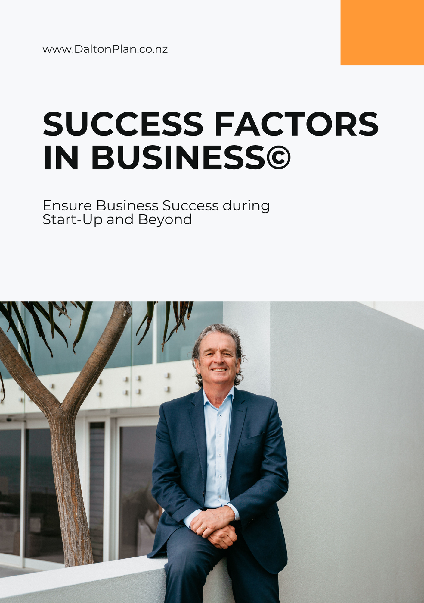 DaltonPlan Business Booklets Success Factors.png