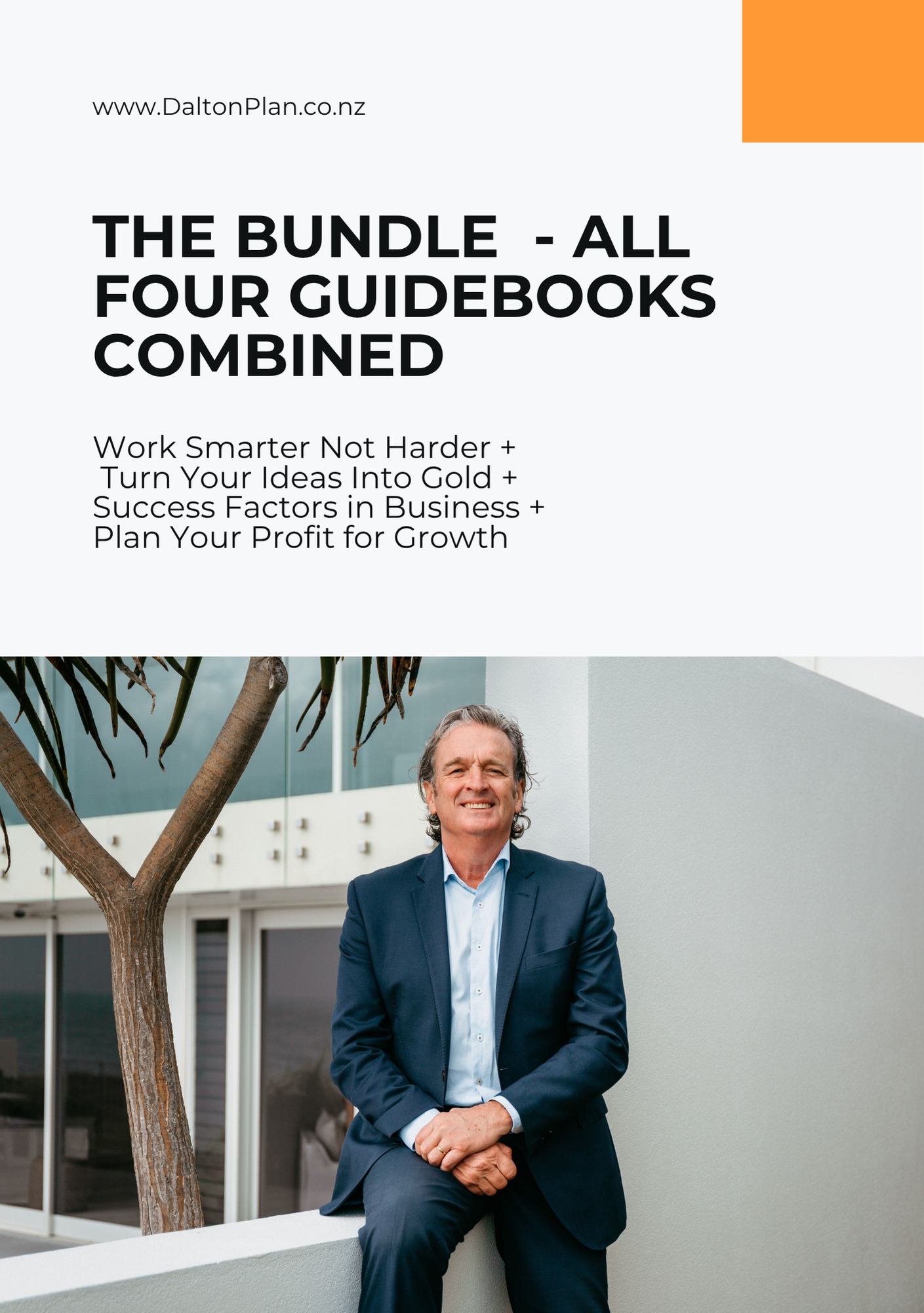 DaltonPlan Business Booklets The Great Bundle.png