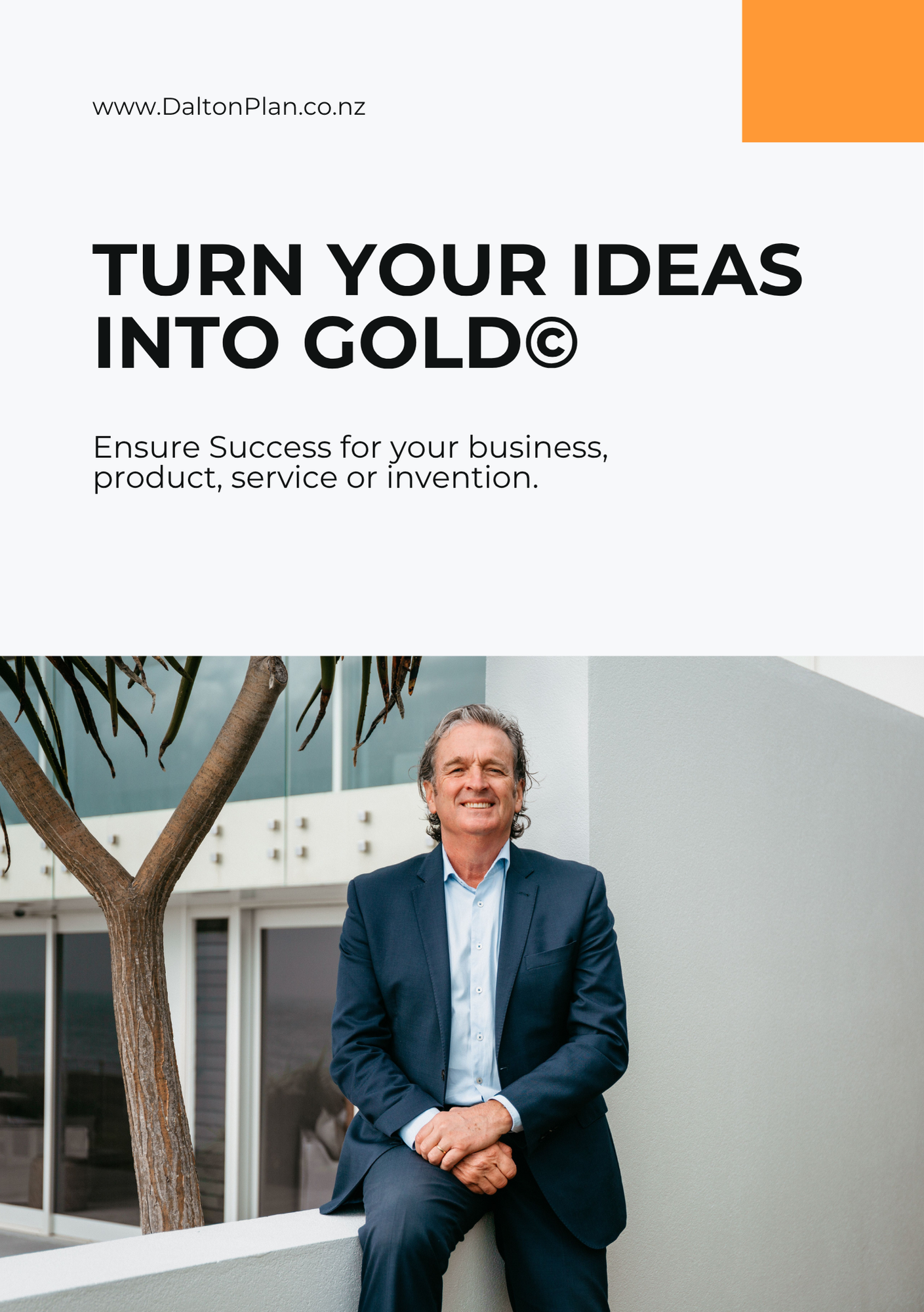 DaltonPlan Business Booklets Turn Your Ideas.png