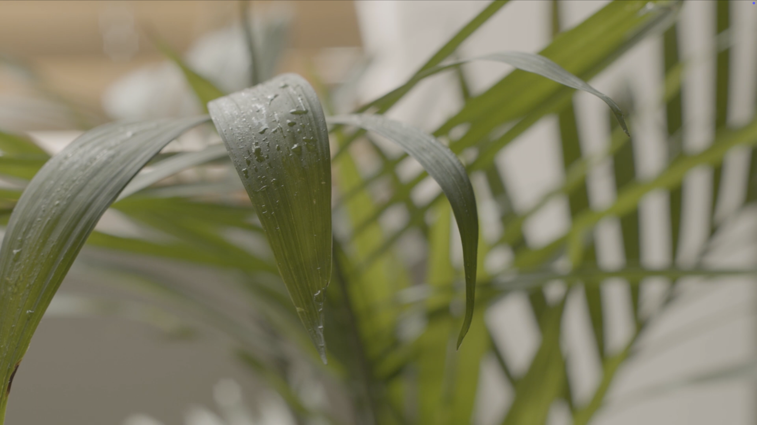 Screenshot 2026-04-15 at 6.28.05 PM.png