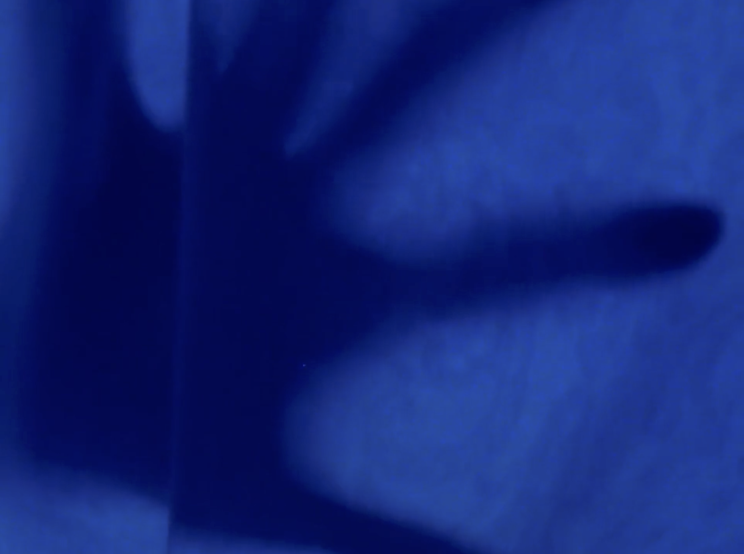 Screenshot 2026-04-15 at 4.14.23 PM.png