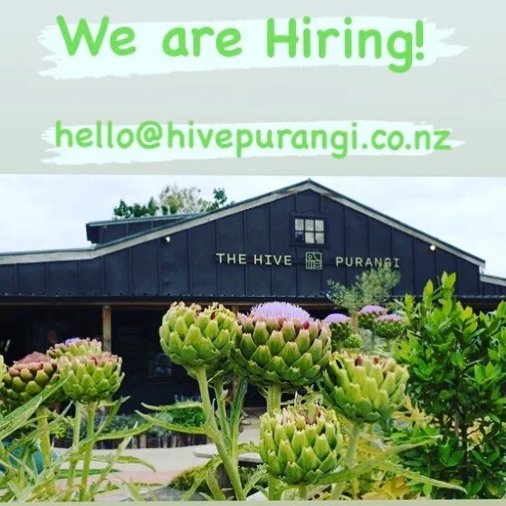 We are looking for some likeminded individuals to join our fun team!!
Are you a hard worker &amp; want to spend your summer in one of the best locations in Nz! 
Looking for Experienced Chef, kitchen hand/prep chef, Barista &amp; FOH!! Accommodation is available if required! If this sounds like you please apply to ... hello@hivepurangi.co.nz