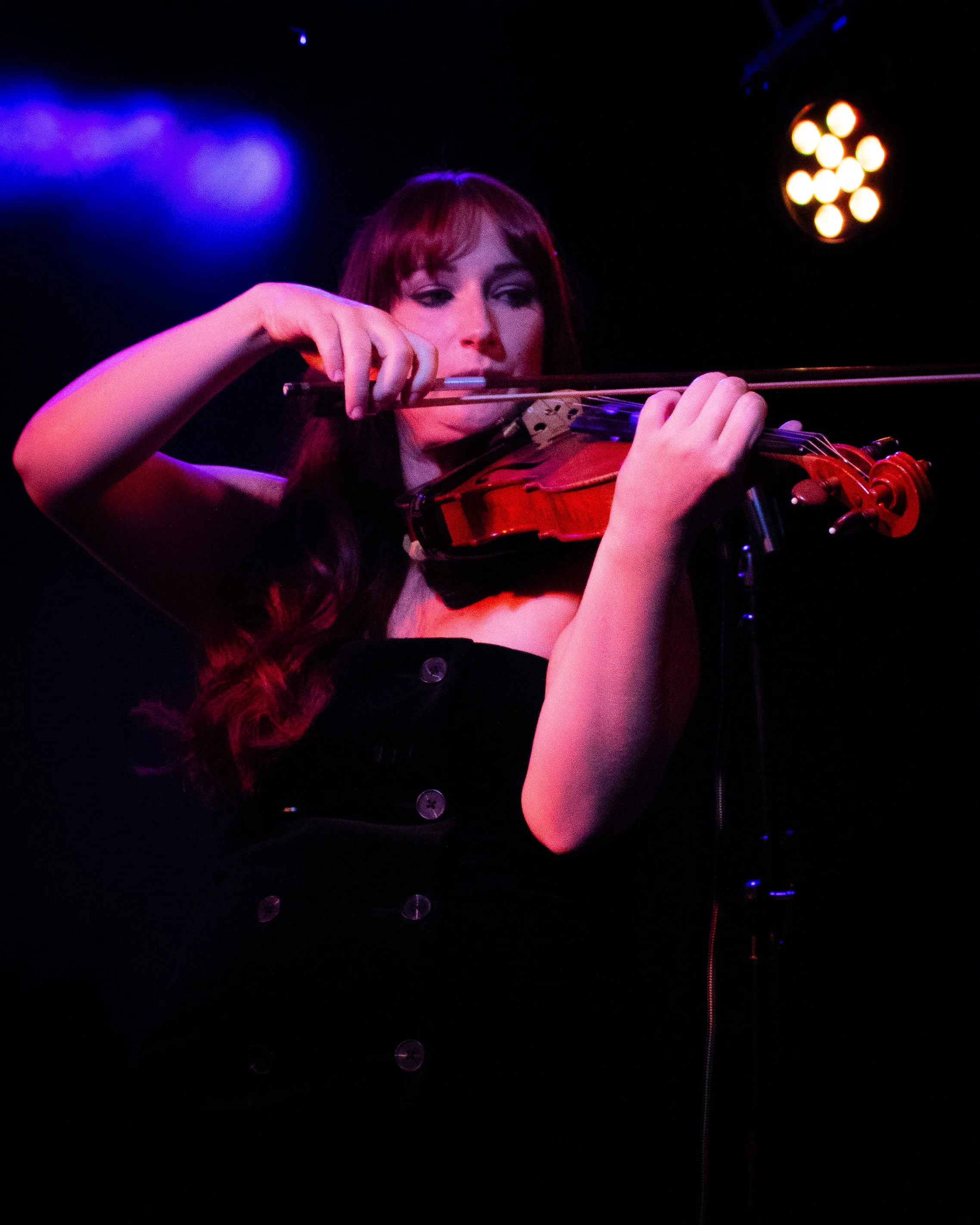 Hannah Violinist at The Prince Albert, Brighton, September 2026