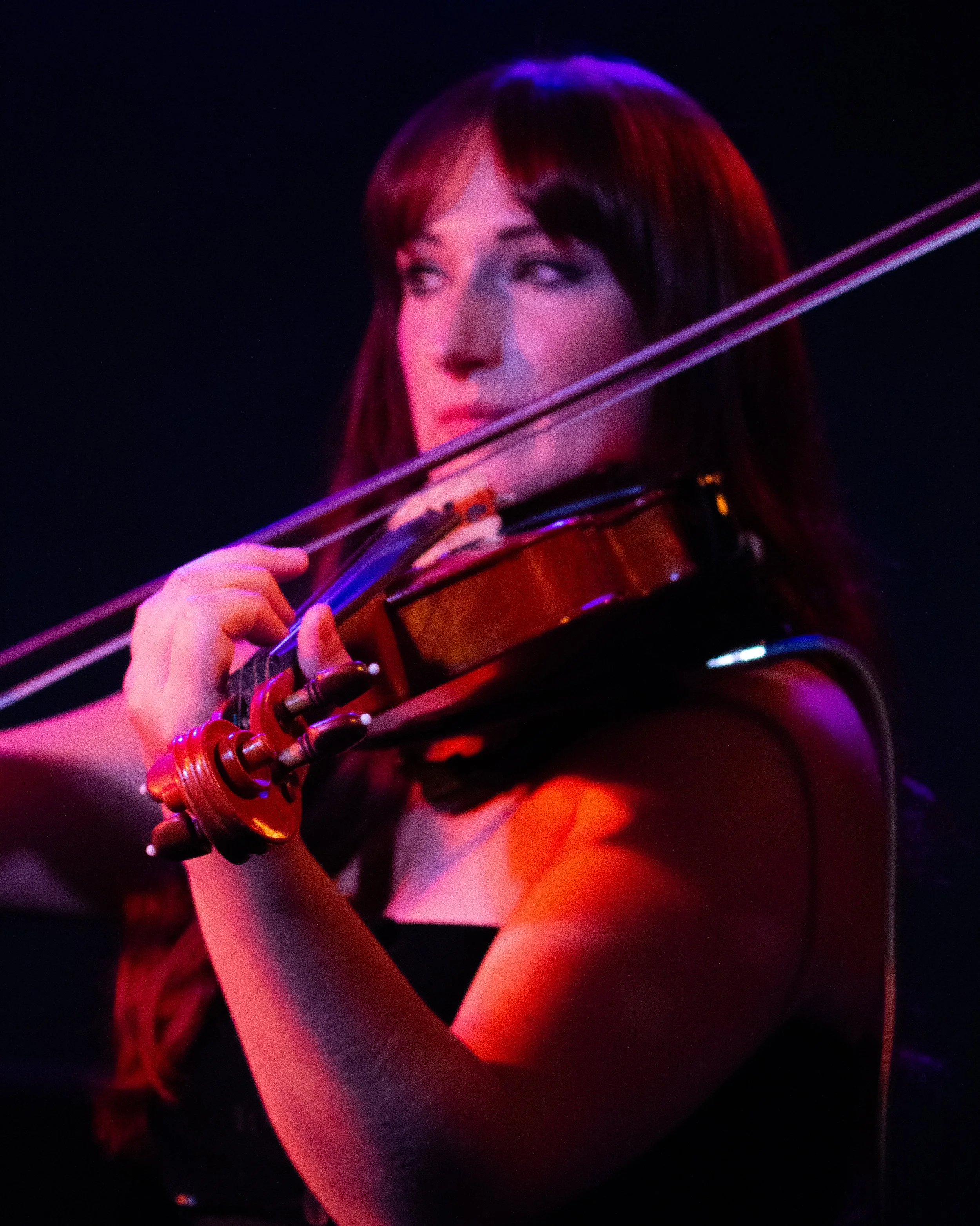 Hannah Violinist at The Prince Albert, Brighton, September 2026