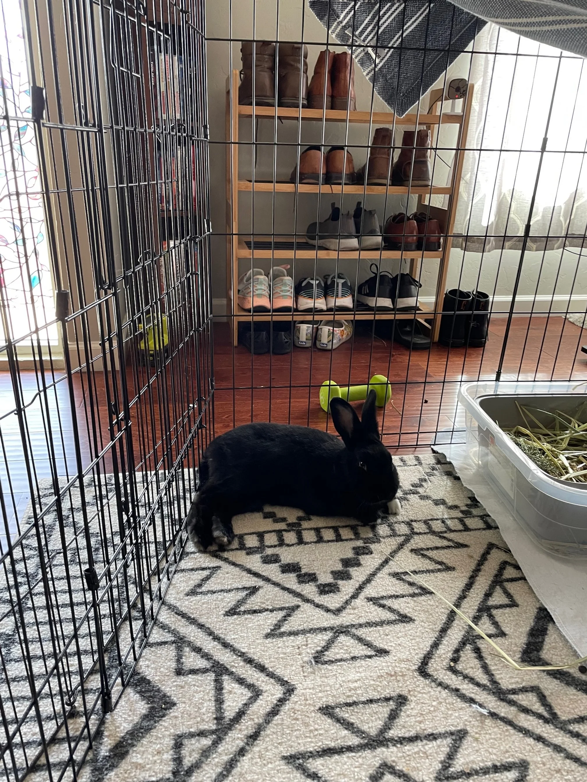 MELISSA GOODRICH MudRoom melissa-goodrich-mudroom