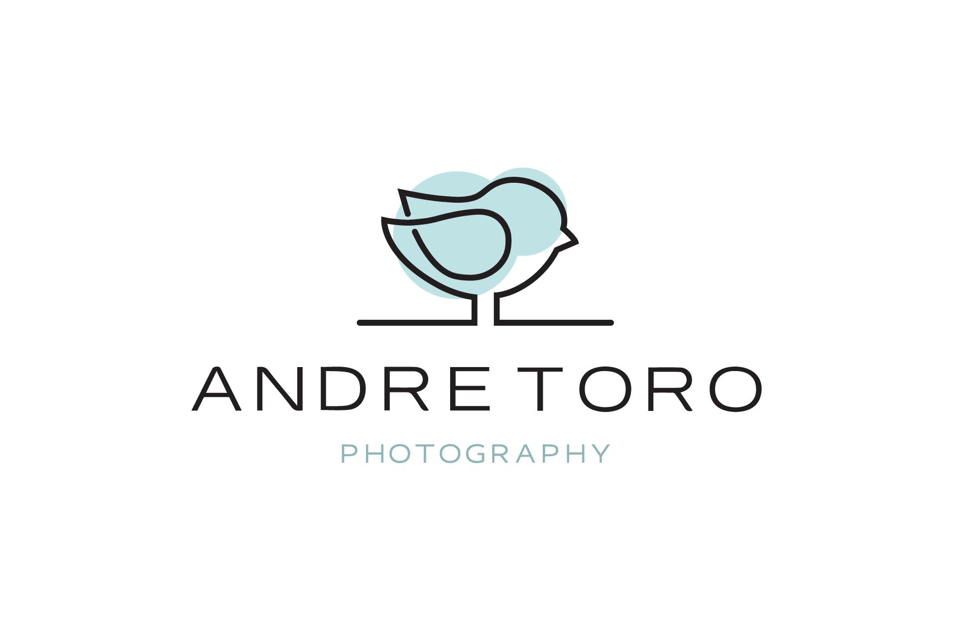 Andre Toro Photography logo.png