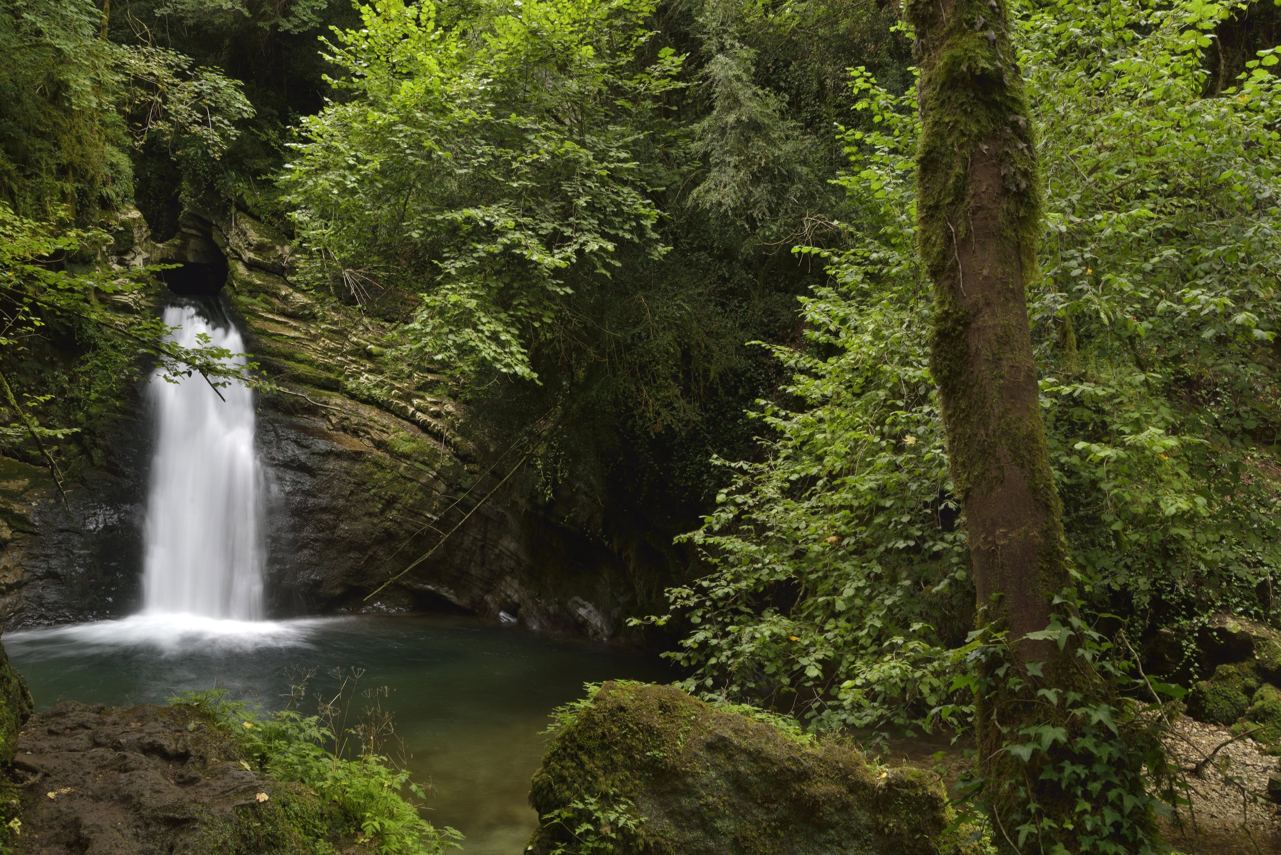 Veroli forest with waterfalls.jpeg