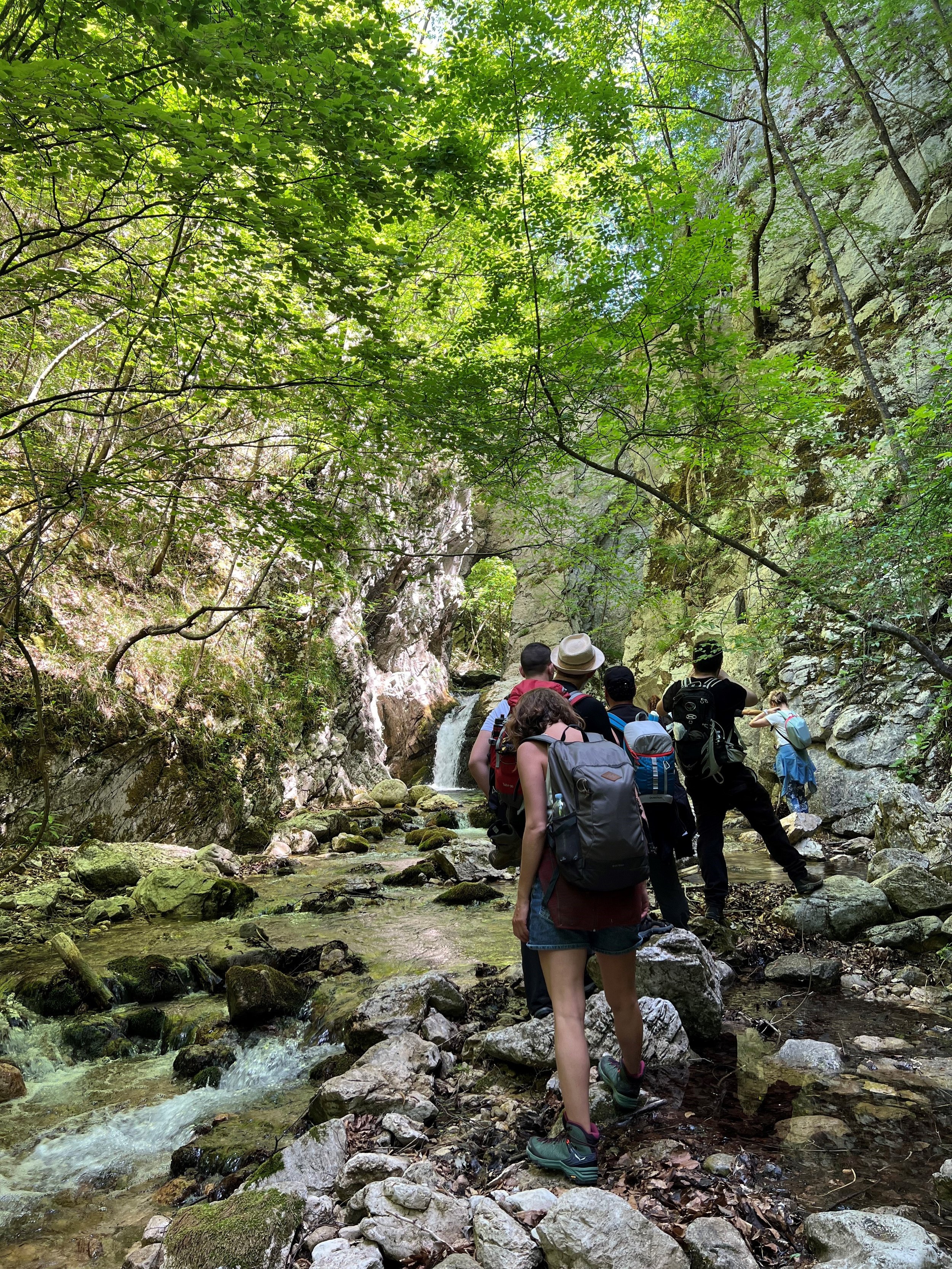 forest hike Veroli.jpg