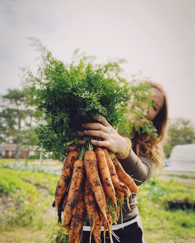 Black Finger Farm's Push to Bring Sustainable, Locally Grown Food to the Table